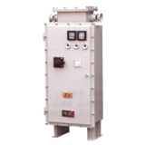 Explosion-proof Electrical Control type