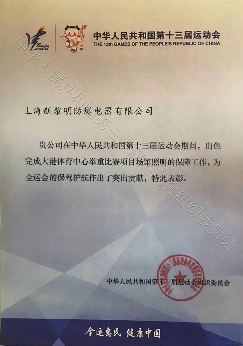十三届全运会表彰_上海新黎明防爆电器有限公司